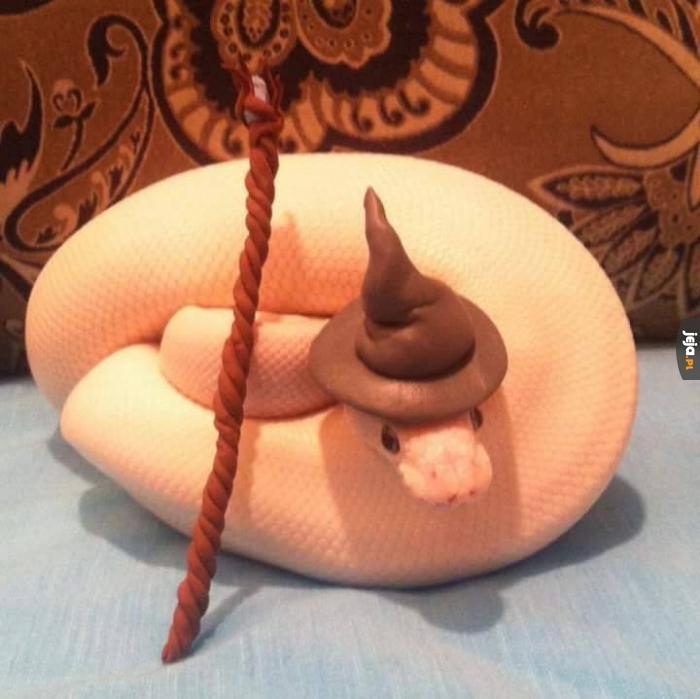 Magiczny wąż