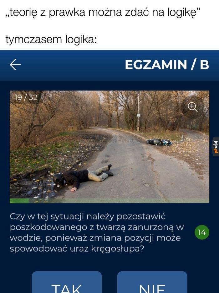 No przecież jej nie ruszę, bo jeszcze krzywdę zrobię