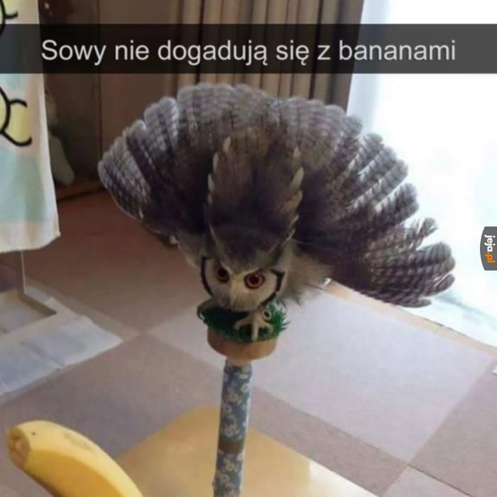 Dobrze wiedzieć