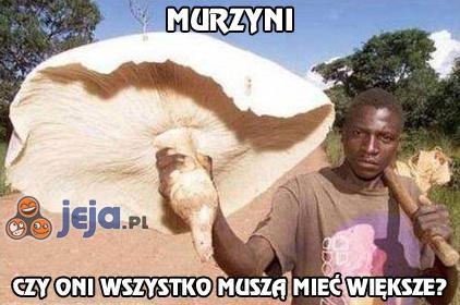 Murzyni