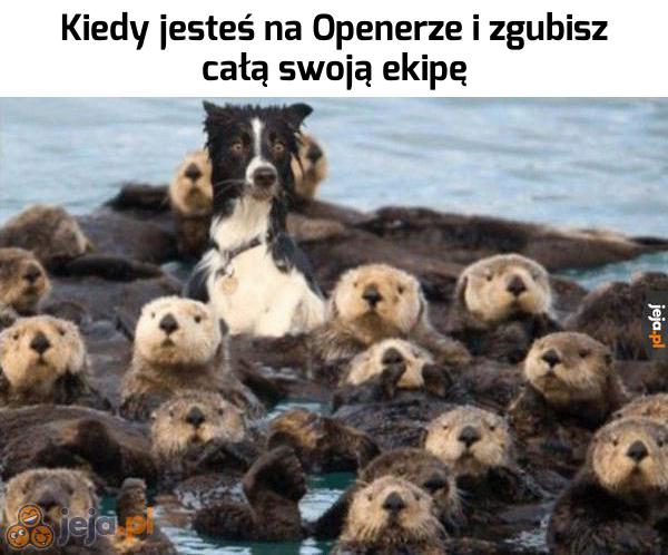 Ej, gdzie jesteście?