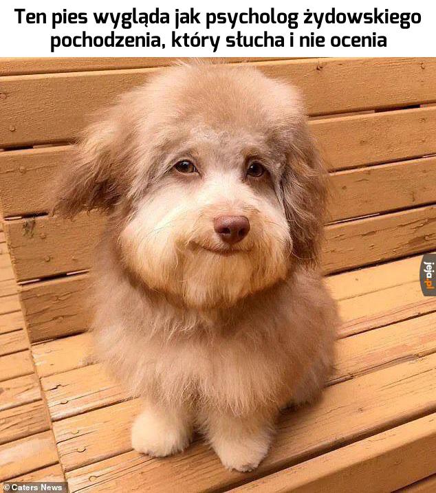 Hmmm... faktycznie
