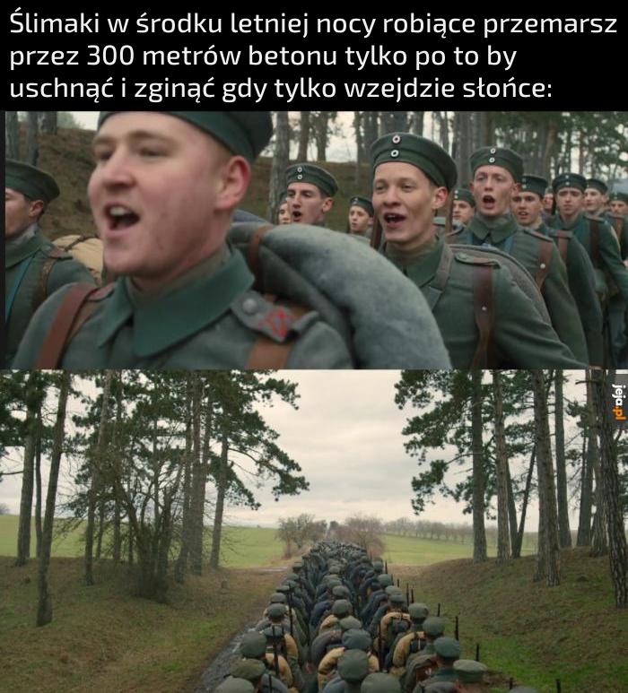W sumie to pomrowiki więc nawet ich nie szkoda