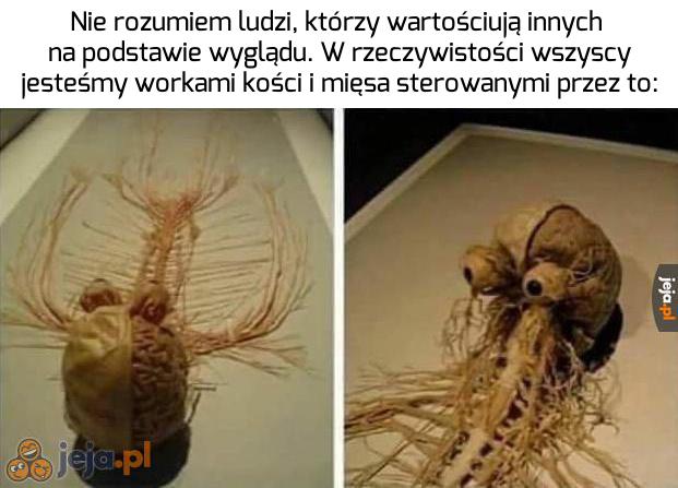 Klopsik z makaronem