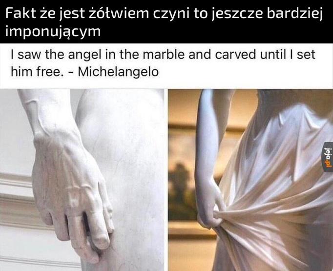 Żółwik