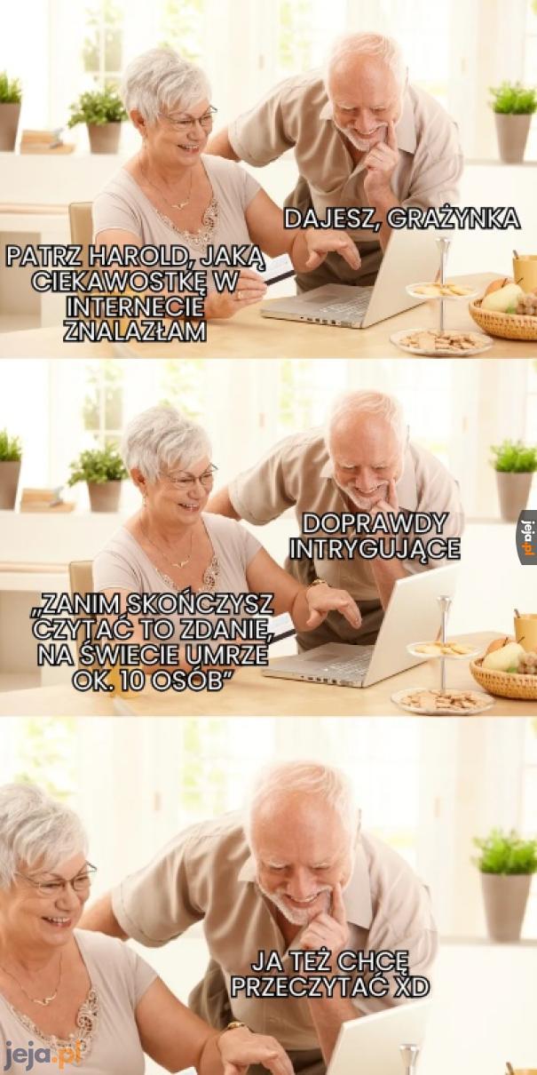Ciekawostka