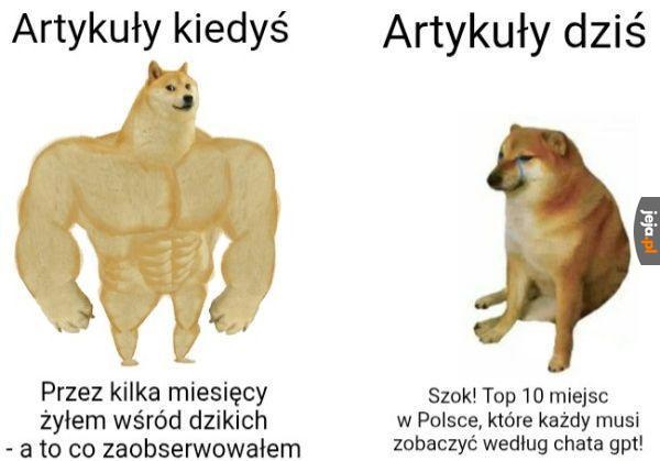 Dziennikarstwo leży i kwiczy