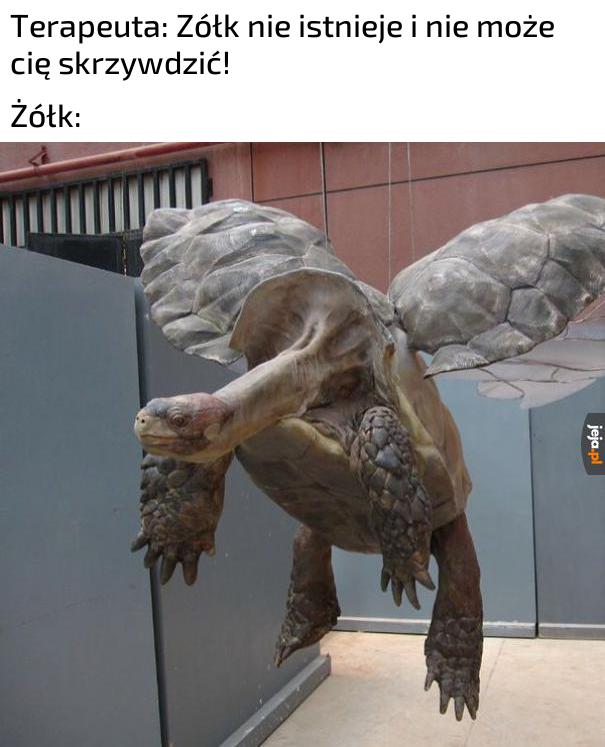 To w Czarnobylu są żółwie?