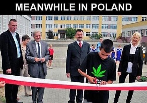 Polskie szkoły