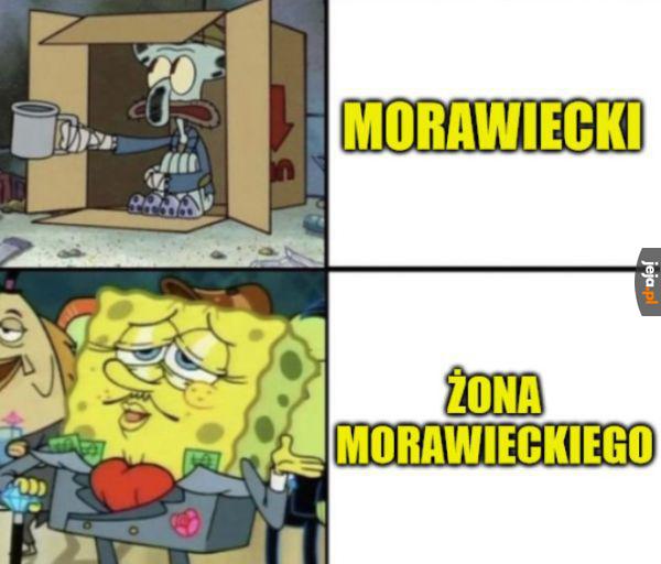 Ileż ona ma tych działek!
