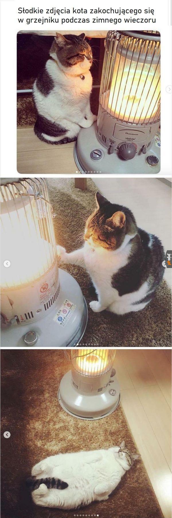 Kotek rozpuścił się od ciepła
