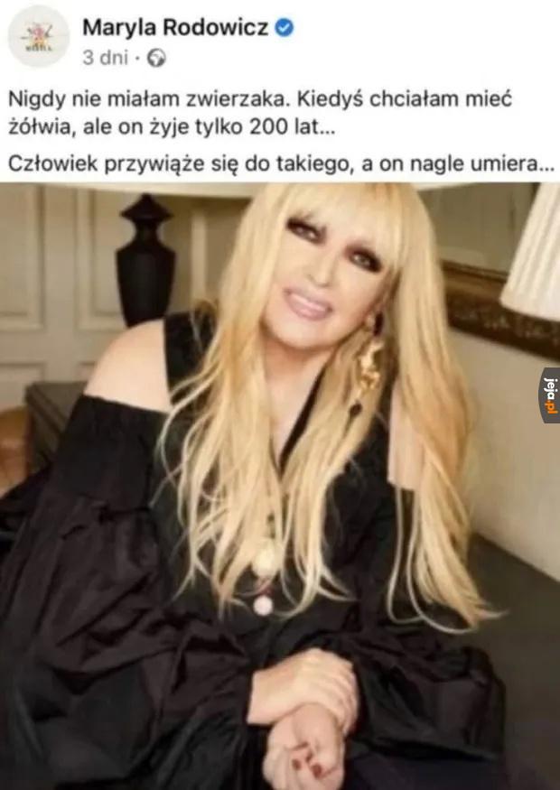 Śpieszmy się kochać żółwie, tak szybko odchodzą