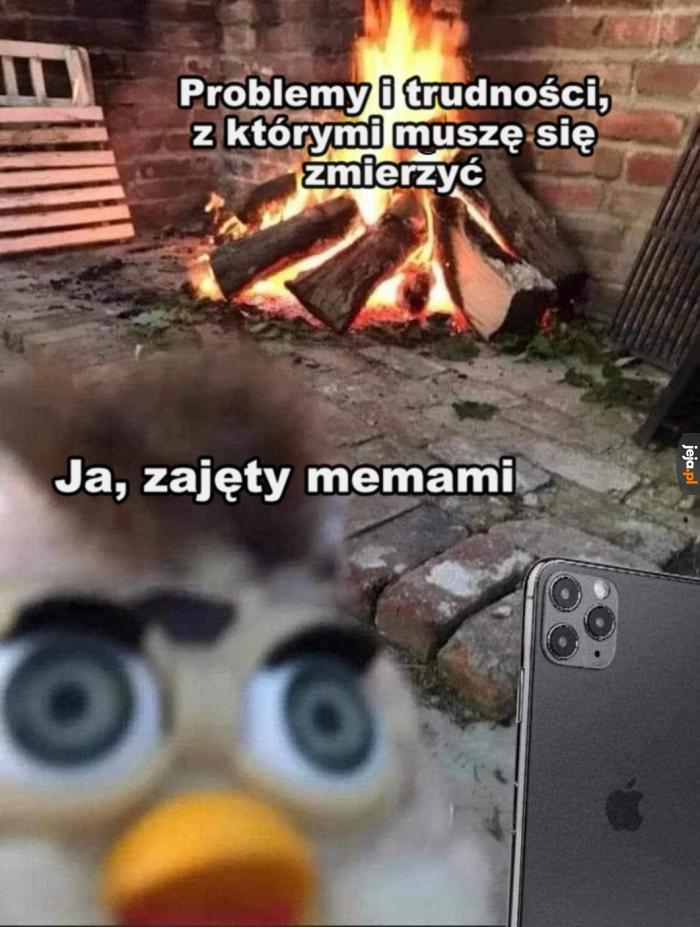 Haha śmieszny kotek