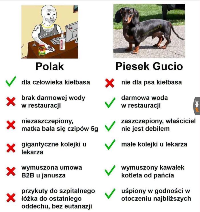 Widać kto ma lepiej