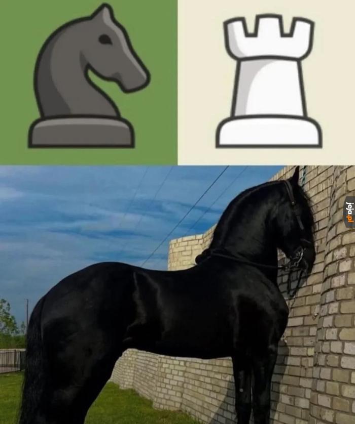 Kocham szachy