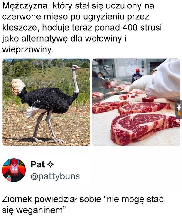 Człowiek z zasadami