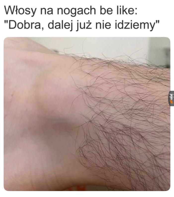 Granica owłosienia