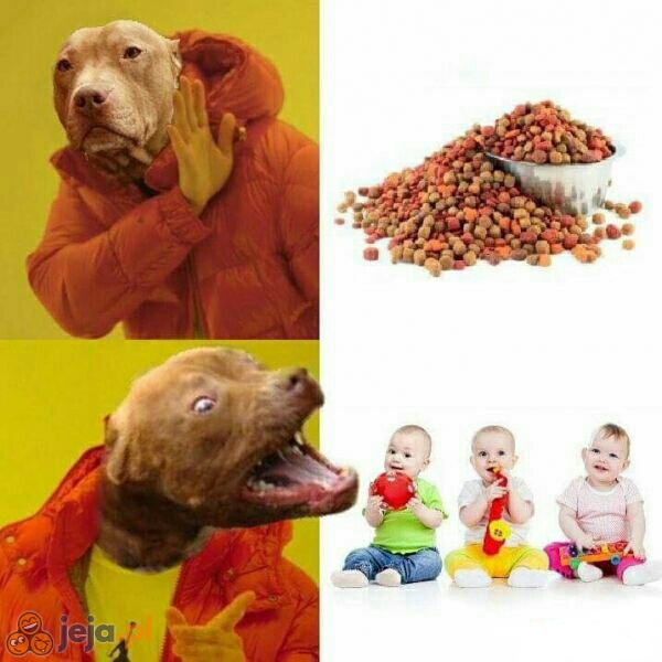 Logika pitbulla