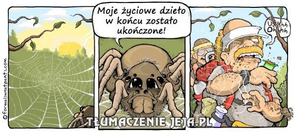 Pająk i jego życiowe dzieło