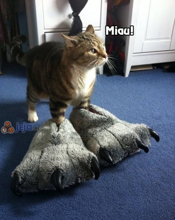 Miau!