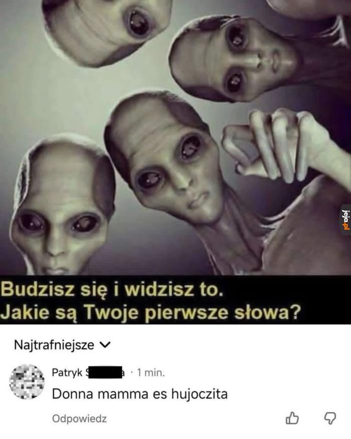 Każdy by tak powiedział