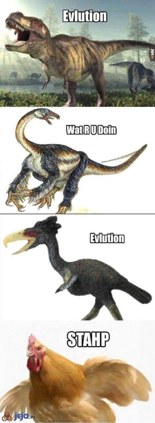 Ewolucjo, przestań!