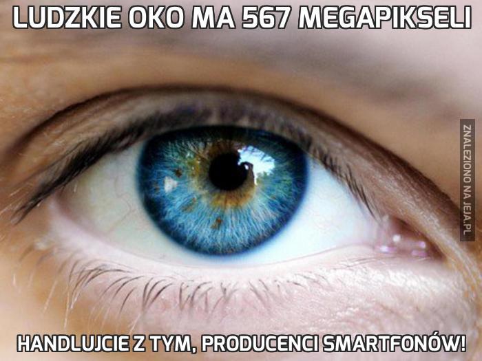 Ludzkie oko ma 567 megapikseli