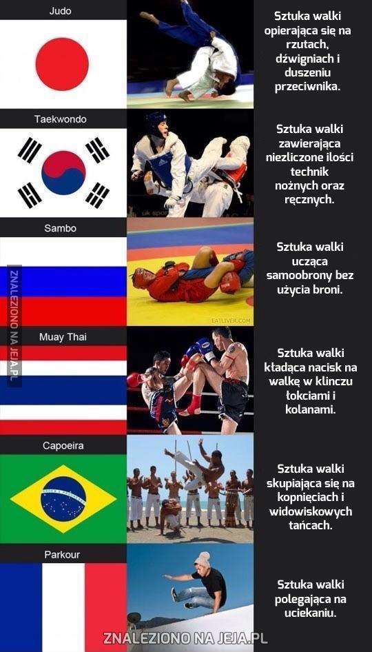 Sztuki walki w różnych krajach