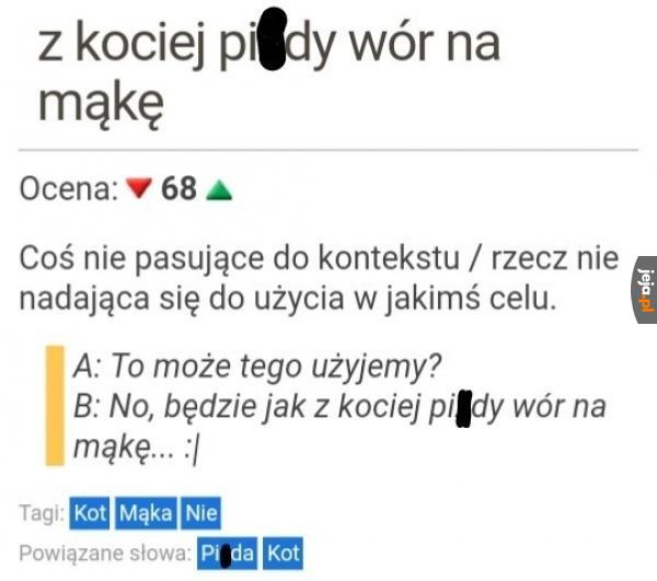 Ciekawostki o języku polskim