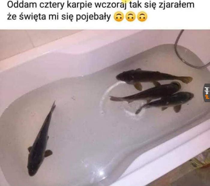 No ja już ubrałem choinke na wielkanoc