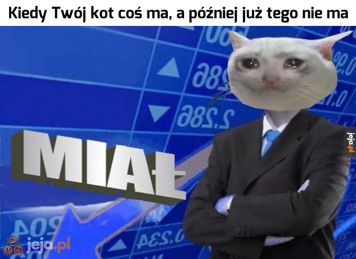 Gdzie to się podziało?