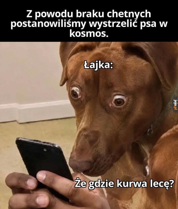 Że co?