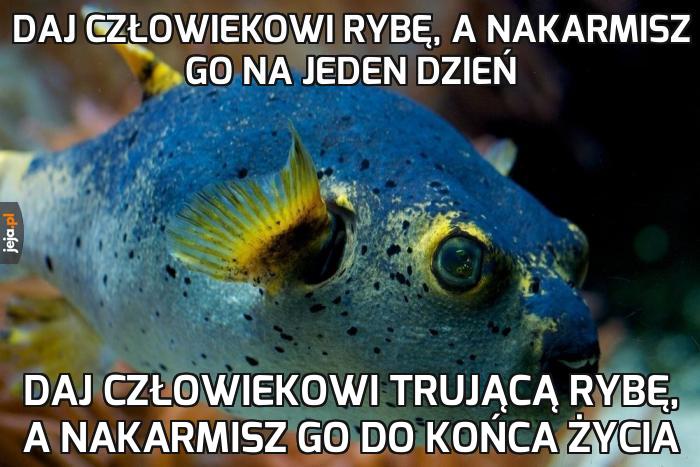 I to jest myśl!