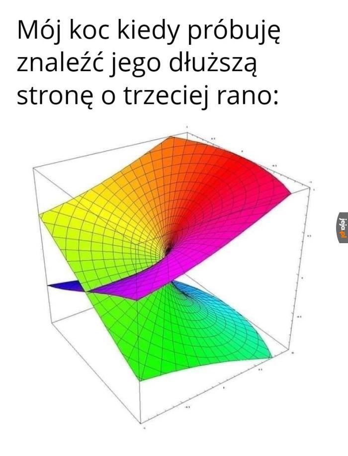 Problemy koców