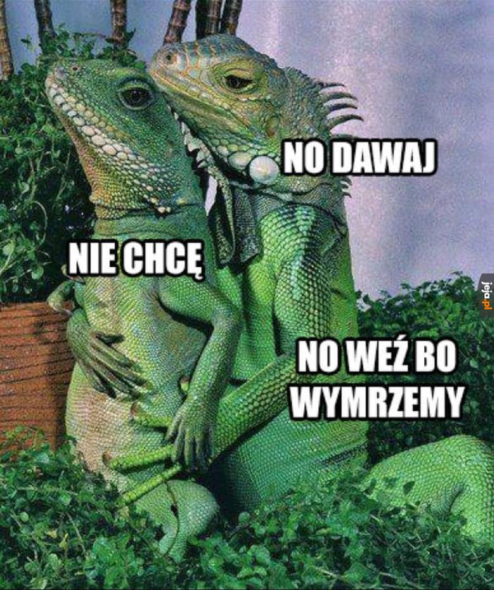 No weź
