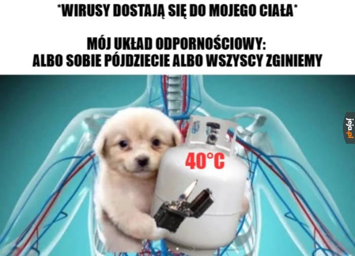 Ekstremalne metody