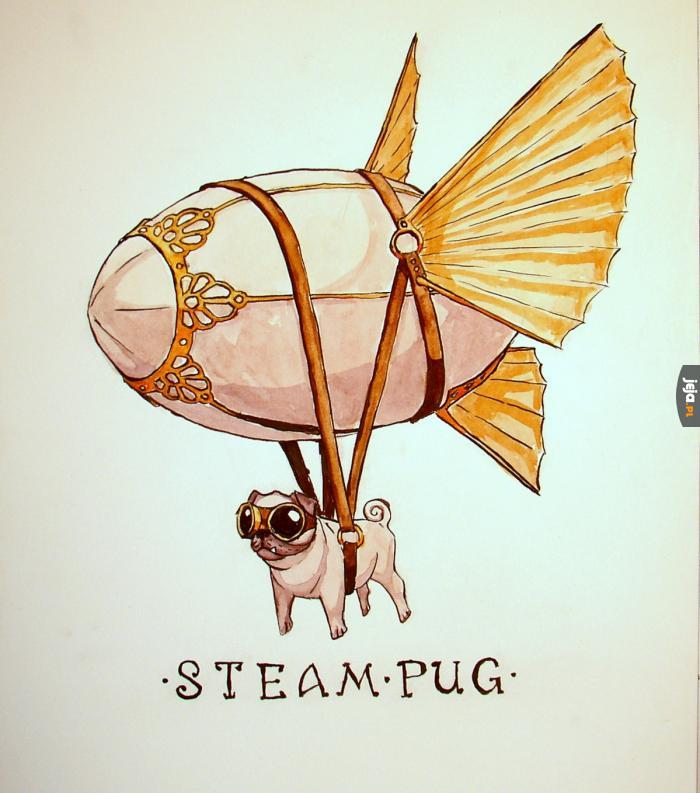 Steam pug!