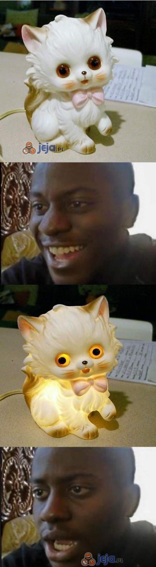 Uroczy kotek