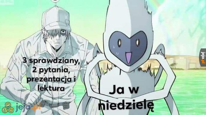 I to wszystko na jutro