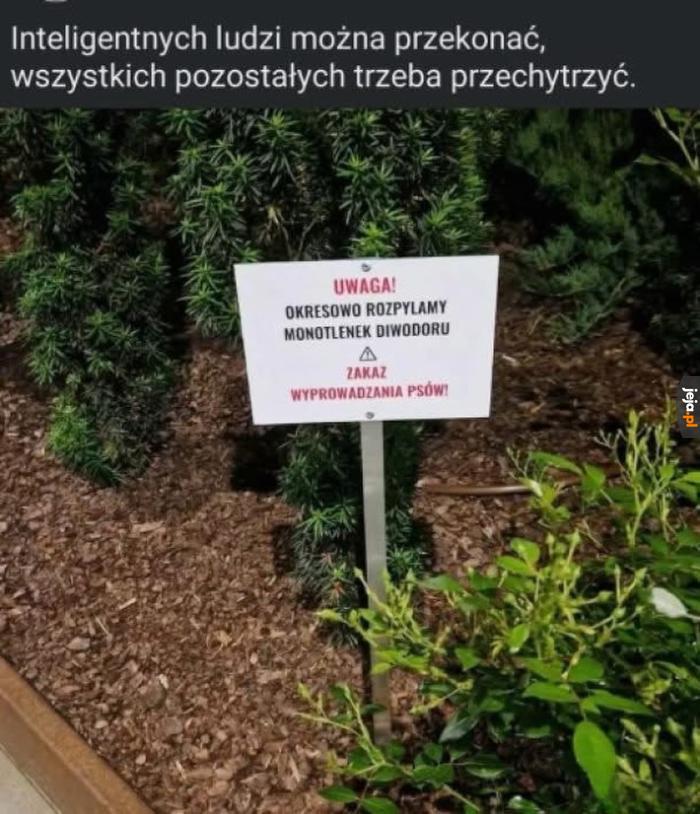 Szach mat