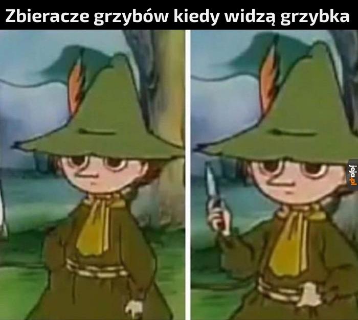 No to borowik idzie do koszyczka