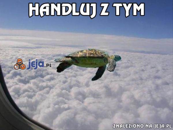 Handluj z tym