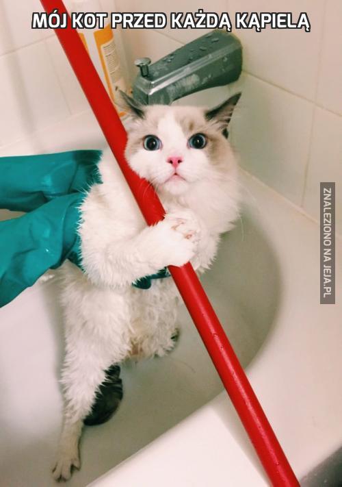 Mój kot przed każdą kąpielą