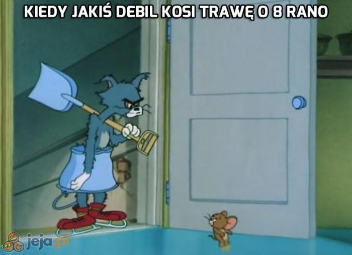 Człowieku, są wakacje!