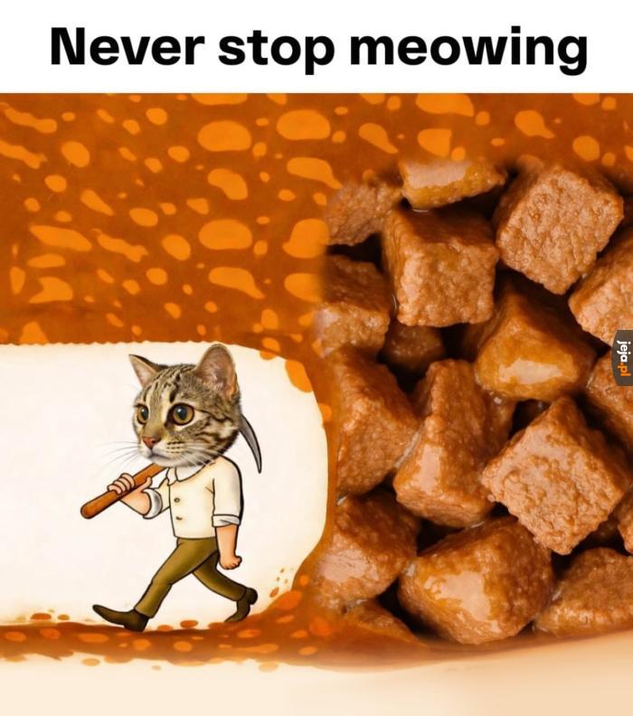 Walcz o swoje