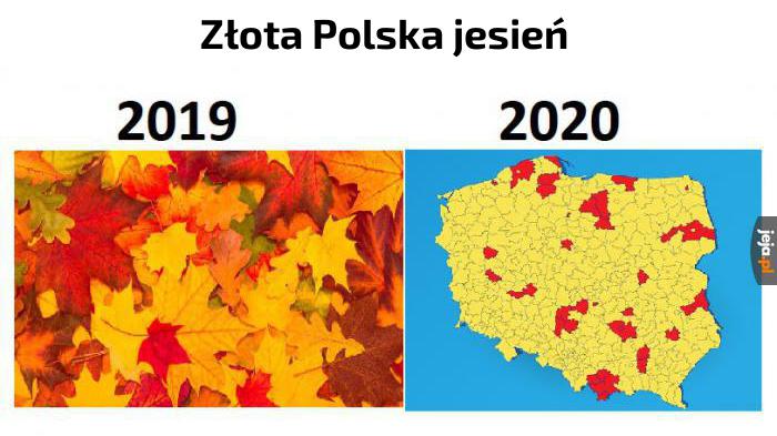 Złota Polska jesień