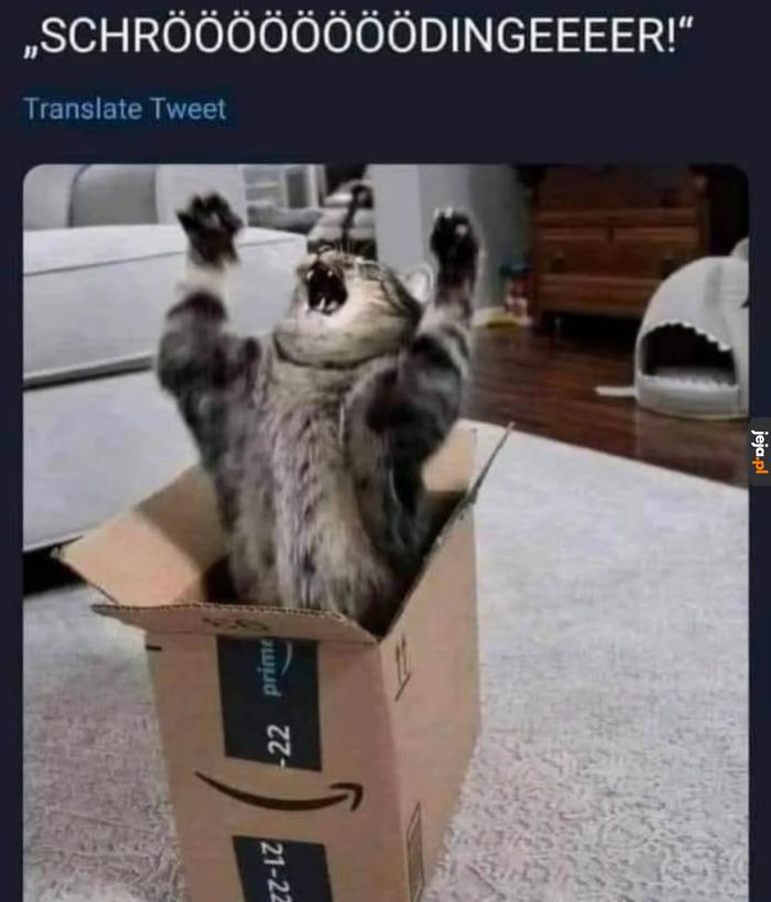 DOPADNĘ CIĘ