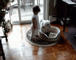 Dziecko kontra pies