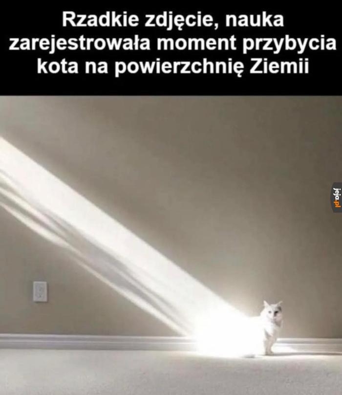 A więc tak to wygląda