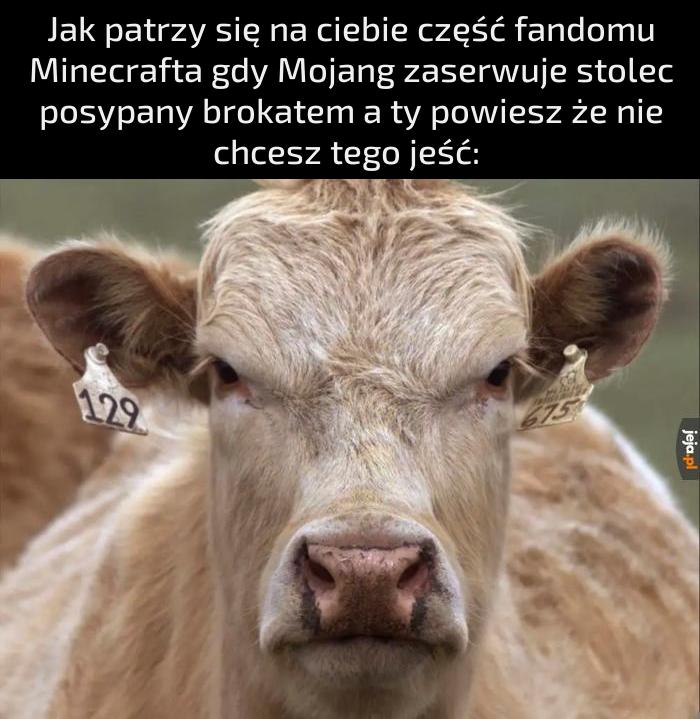 Jeżeli ta wielka aktualizacja okaże się rozczarowaniem to nieironicznie tę grę oleje